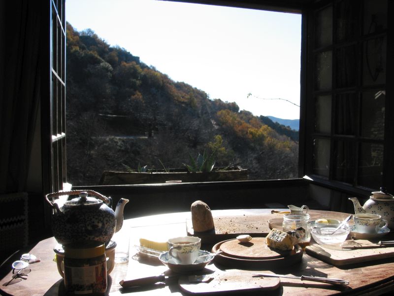 Frühstück am offenen Fenster