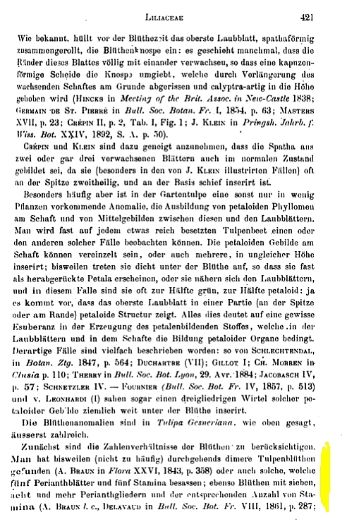 O. Penzig, Pflanzen-Teratologie II, S. 421