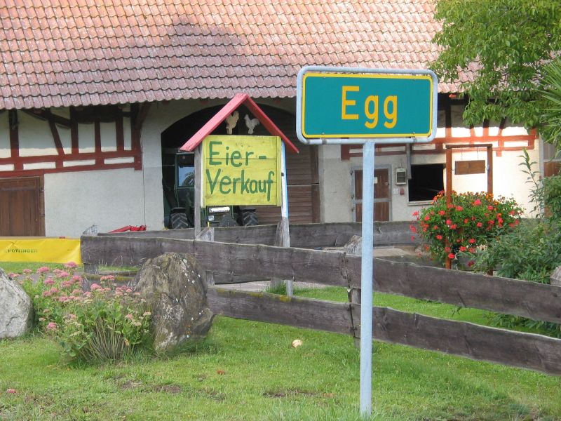 Eier aus Egg